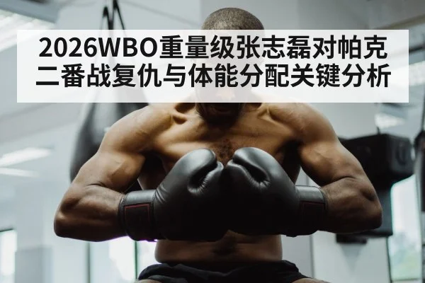 2026WBO重量级张志磊对帕克二番战复仇与体能分配关键分析